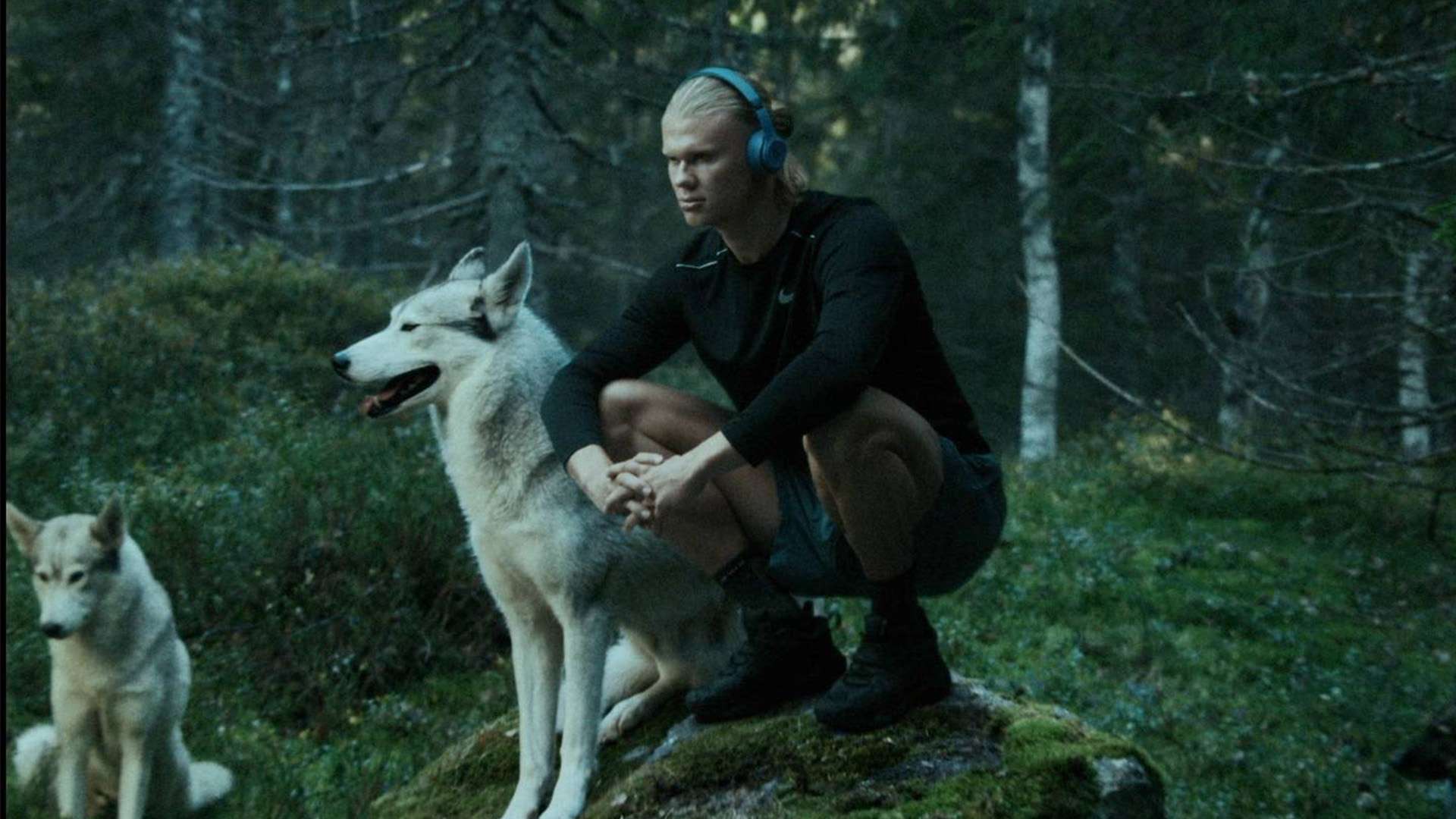 的竞争愈发 的竞争愈发